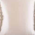 Pure Satin Silk Cushion Cover